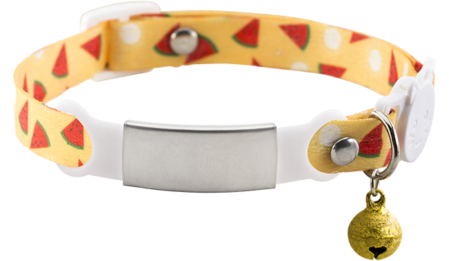 Collier Chat Anti-Étranglement avec Plaque Gravée – Motifs Colorés