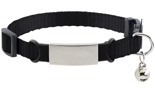 Collier Chat Anti-Étranglement avec Plaque Gravée