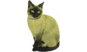 Collier Naturel pour Chat contre les Puces et les Tiques