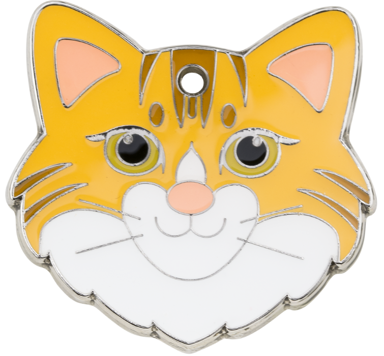 Médaille Chat Gravée Chat Roux