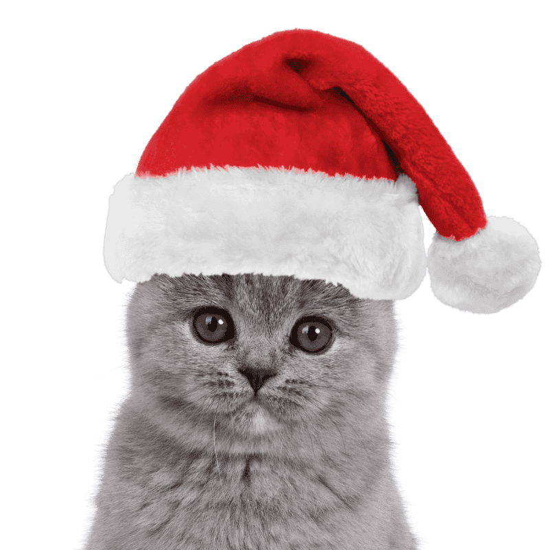 Bonnet de Père Noël pour Chiens et Chats Bonnet de Père Noël pour Chiens et Chats