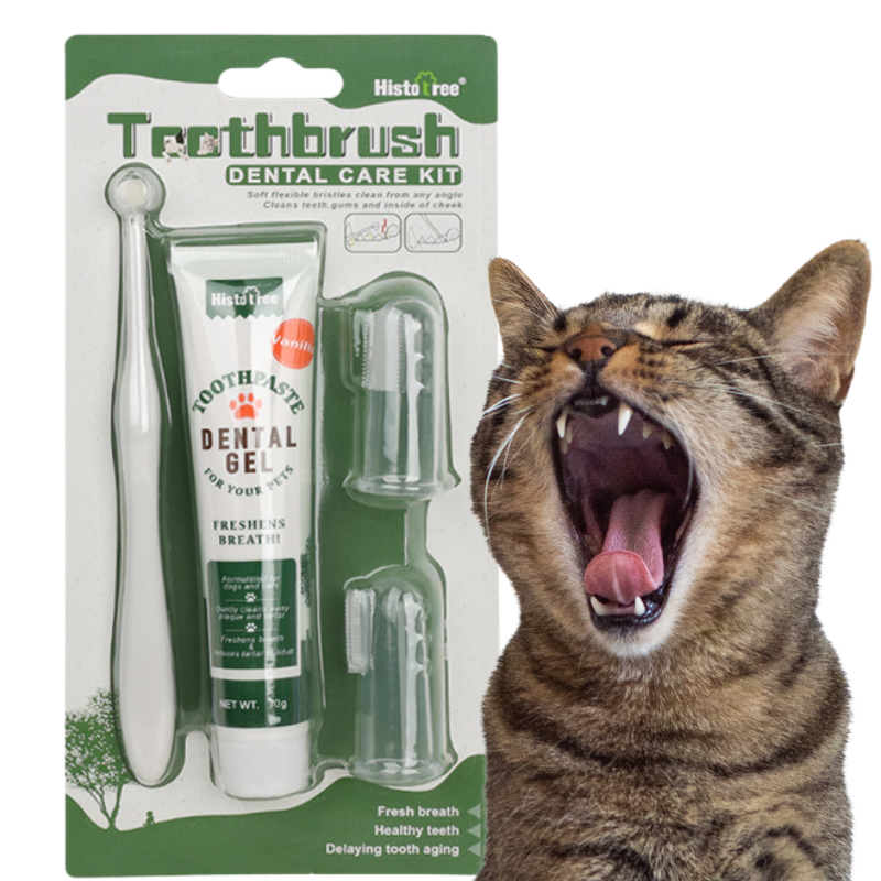 Set Complet de Soins bucco-dentaires pour Chat : brosse à dent, 2 brosses à doigts et dentifrice à la vanille Set Complet de Soins bucco-dentaires pour Chat : brosse à dent, 2 brosses à doigts et dentifrice à la vanille