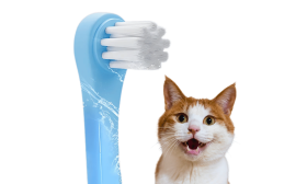 Brosse Dentaire Douce Clean pour Chats avec Poils en Nylons Souples