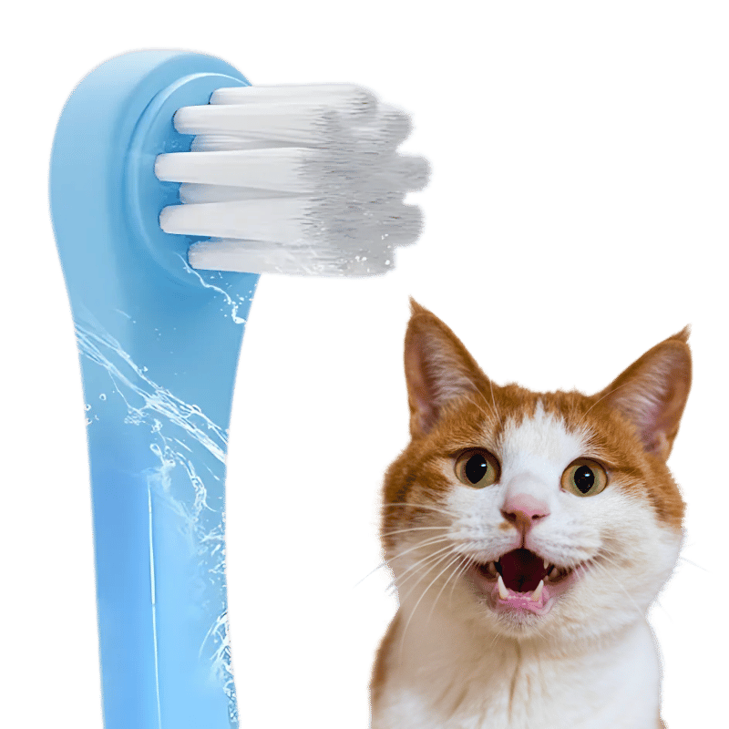 Brosse Dentaire Douce Clean pour Chats avec Poils en Nylons Souples Brosse Dentaire Douce Clean pour Chats avec Poils en Nylons Souples