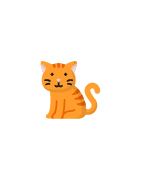 Accessoires pour chat - Chatmedaille.fr