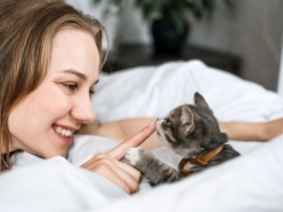 Accueillir un Chat : Créez un Espace Sûr et Douillet