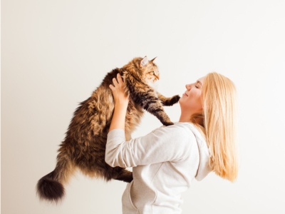 Adopter un chat ou un chaton : Conseils avant d'accueillir votre nouvel animal